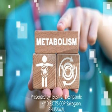 African-Americans in the Civil War.ppt African Americans role in Civil ...