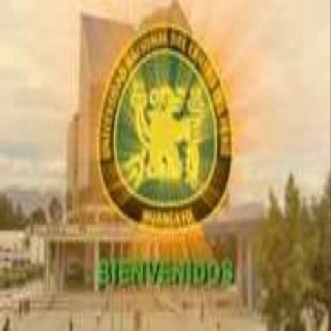 MANGANESO BIOINORGANICA