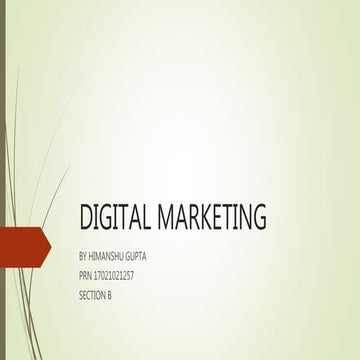 ZARA -Digital marketing