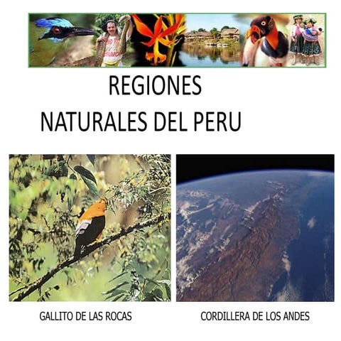 8 REGIONES NATURALES