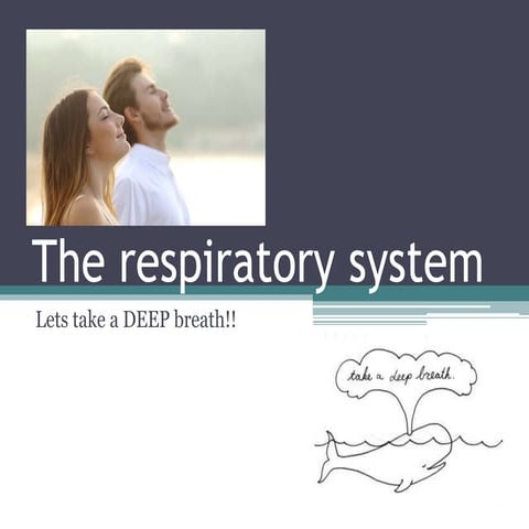 Ch 8 respiration 2019