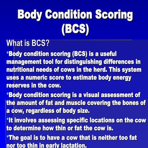 Beginner's guide to Body Condition Score in Cattle | PDF
