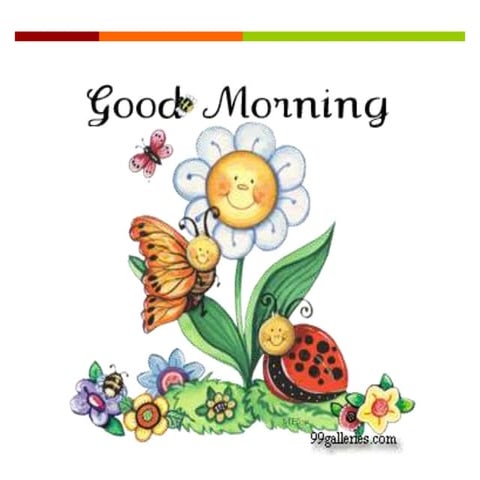 Root Canal Irrigants