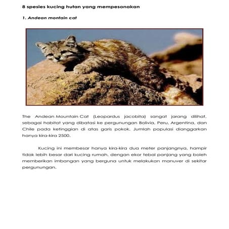 Spesies kucing hutan | PDF