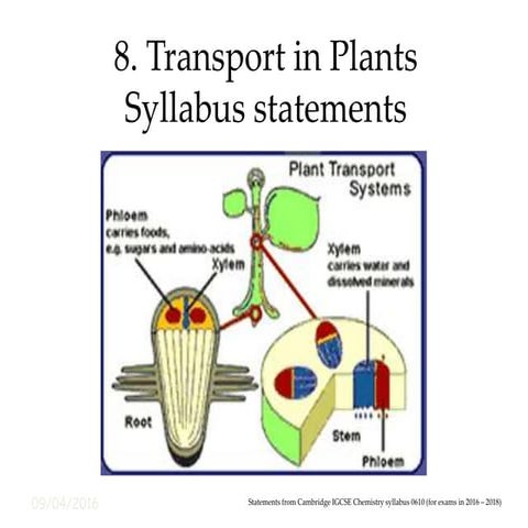 8 syllabus statements