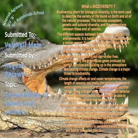 "what is Biodiversity ?" for school project
