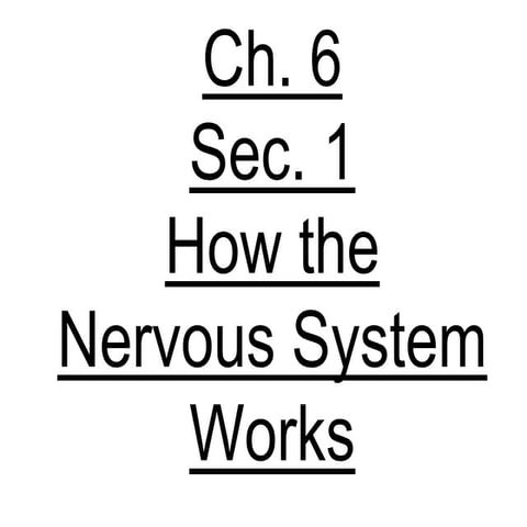 8th grade ch. 6 sec. 1 nervous system