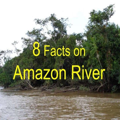 8 Facts on Amazon River