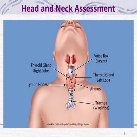 8 th lecture- head and neck assessment-JJJJJJJJJJJJJJJJJJJJJ