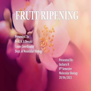 Physiology and biochemistry of ripening fruit | PPTX