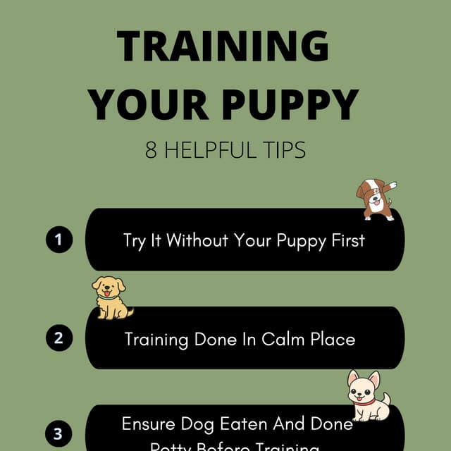 Illustration of Tips For Volume Training Small Breed Dogs
