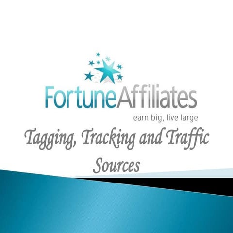 Tag track and traffic sources