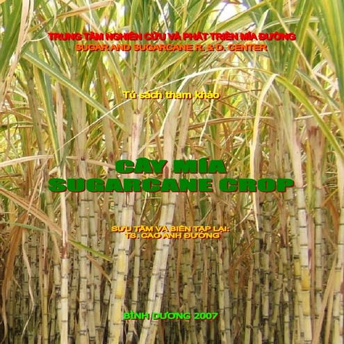 Sugarcane Crop Ebook Pdf