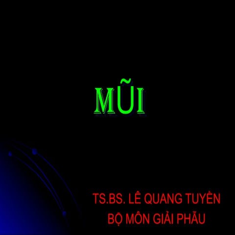 9-10_MUI-new giai phau mui anatomy BS LQT.ppt