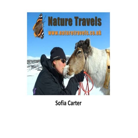 9. naturbasert reiseliv   nature travels presentation trondelag 2