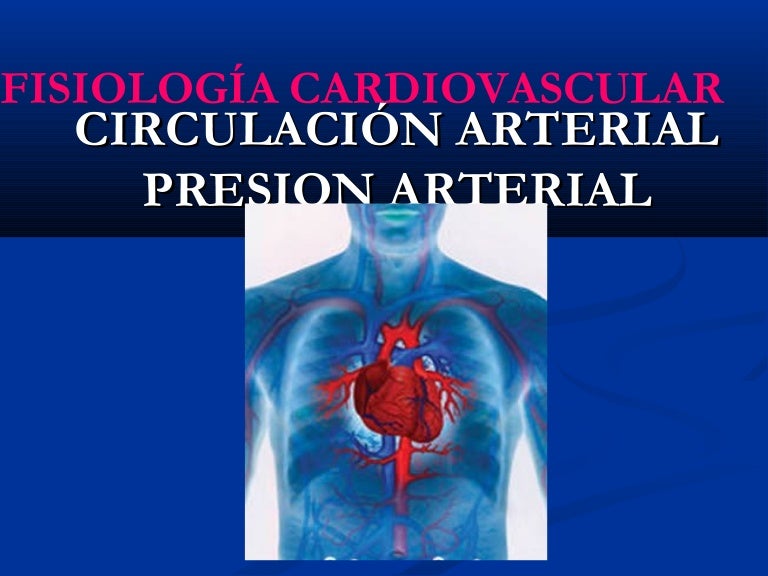 presión arterial normal en hombres consejos