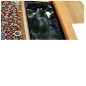 Natural Human Hair Wefts WHOLESALE