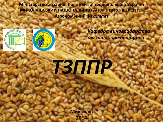 тзппр лекція 9