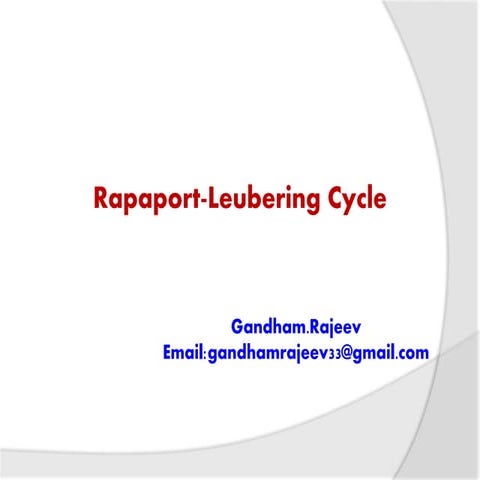 RAPAPORT-LEUBERING CYCLE