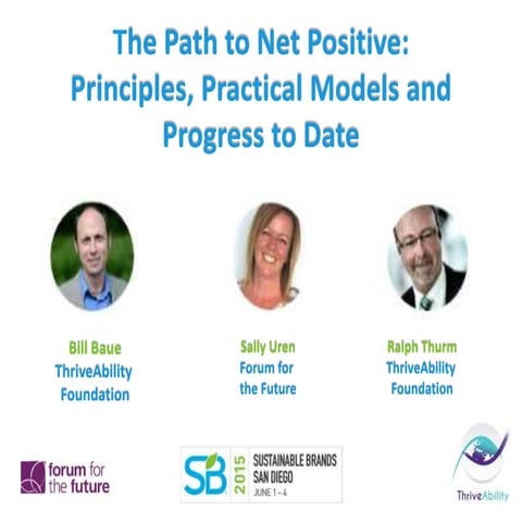 The Path to Net Positive: Principles, Practical Models and Progress to Date