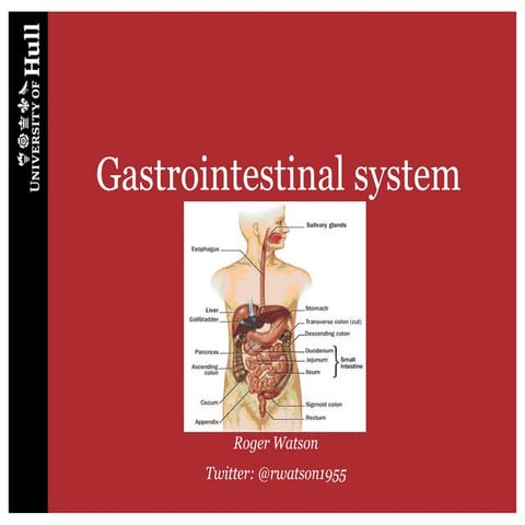 Gastrointestinal system