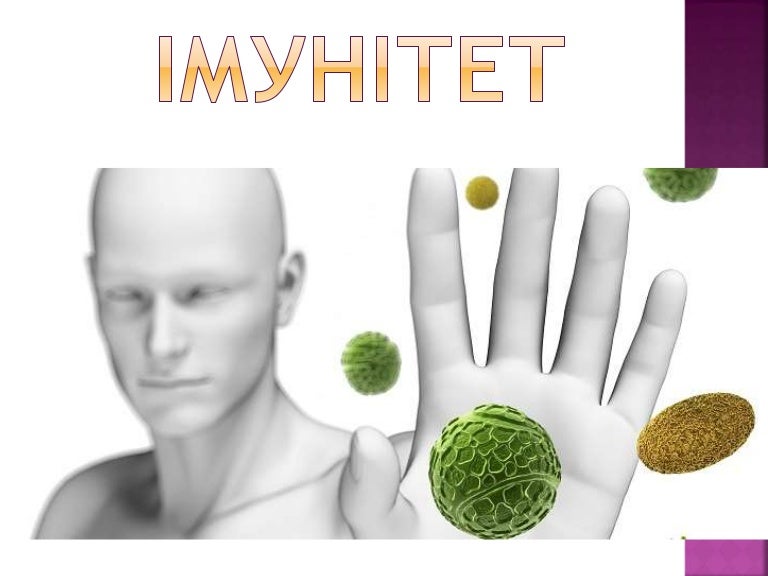 Імунітет