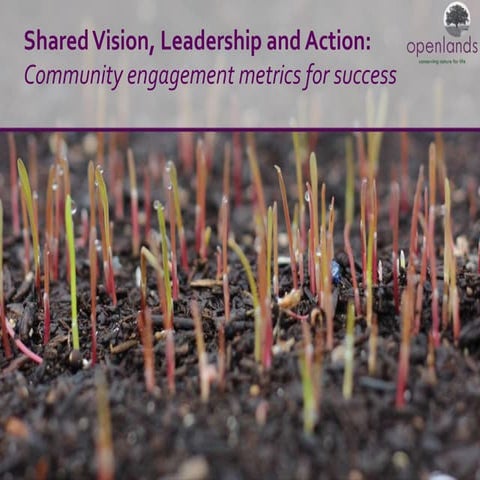 Shared Vision, Leadership, and Action: Community Engagement Metrics for ...