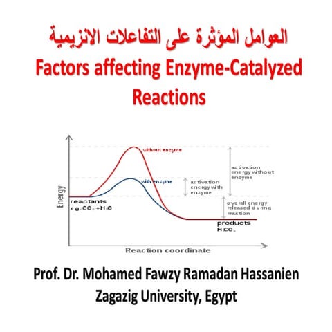 العوامل المؤثرة على التفاعلات الانزيمية