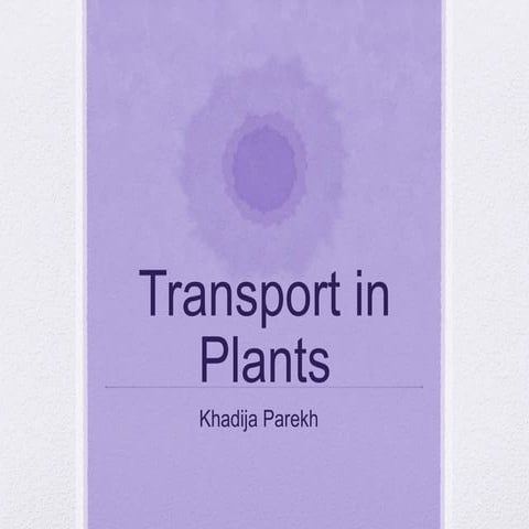 transport in plants