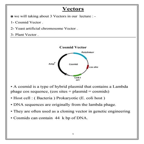 Cosmid Vector  and Yeast artificial chromosome Vector and Plant Vectors ( Ti ...