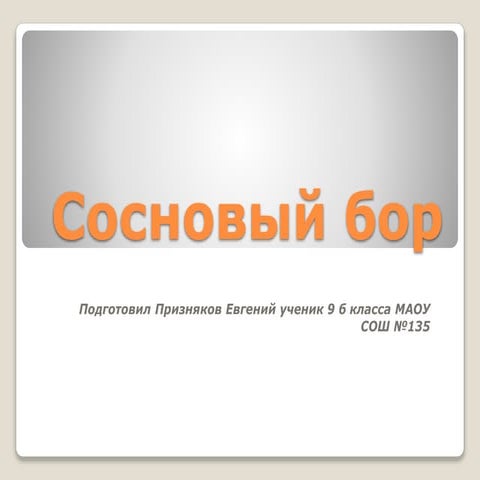 Сосновый бор