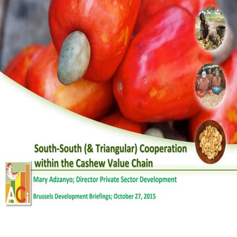  Brussels Briefing 43 “Emerging donors and rising powers in agriculture in AC...