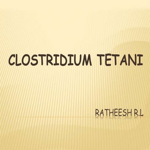 9. clostridium tetani