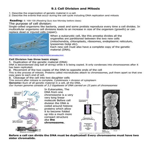 9.1 Cell Division