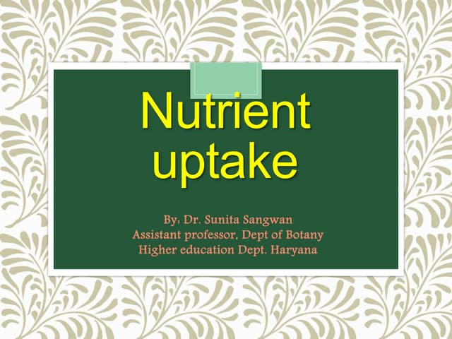 Nutrient uptake
