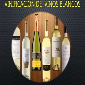 9. Vinificacion vinos blancos 