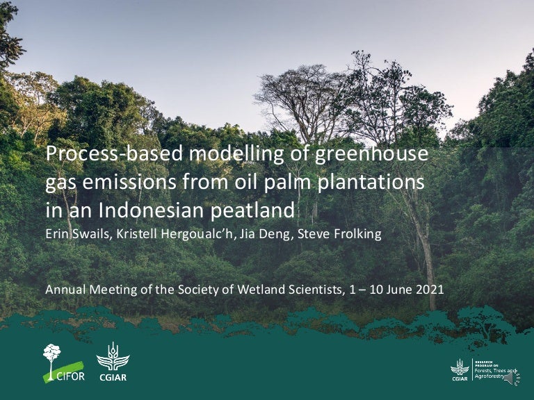 thumbnail of  Process-based modelling of peat greenhouse gas emissions in Indonesian peatlands