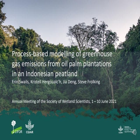 Process-based modelling of peat greenhouse gas emissions in Indonesian ...