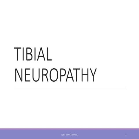 9. TIBIAL NERVE.pdf