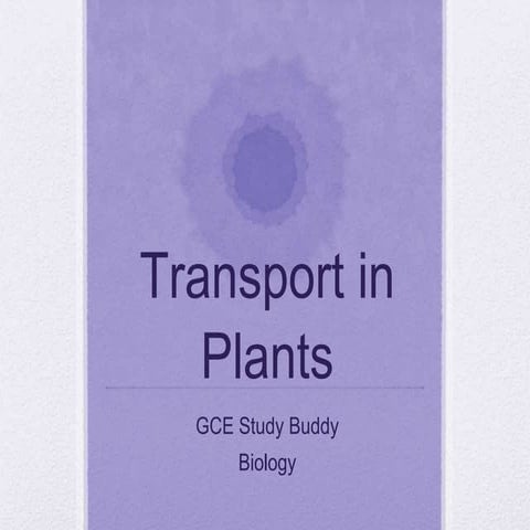 9. Transport in Plants.pptx