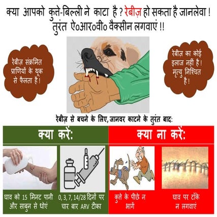 Rabies wall poster Hindi
