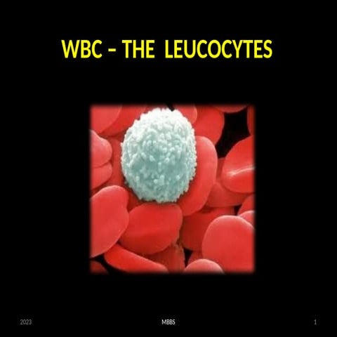 9. WBC Morphology, Variation, Leucopoiesis 2023.pptx