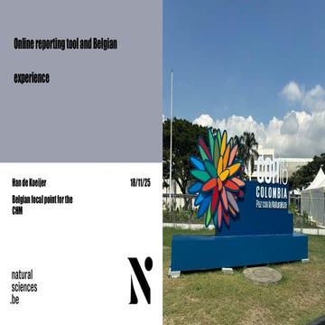 Online Reporting Tool and the Belgian Experience