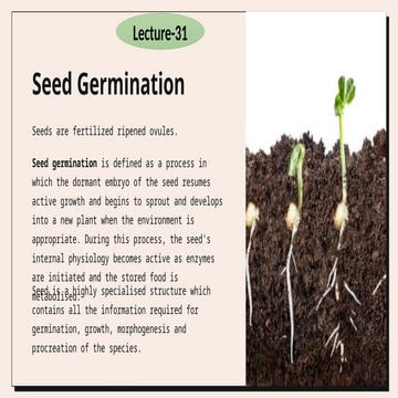 Seed germination - types and phases of germination.pptx