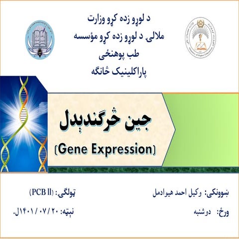 Comprehensive Overview of Gene Expression: Transcription and ...