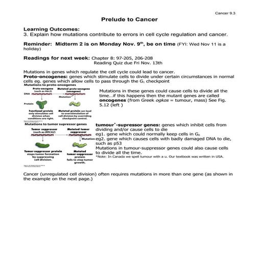 9.3 Prelude To Cancer