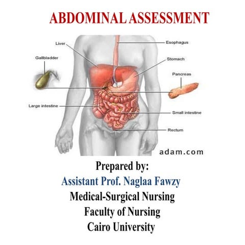 9- Abdominal Assessmenuuuuut final (1).pdf