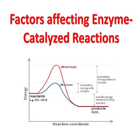 Factors affecting enzymes