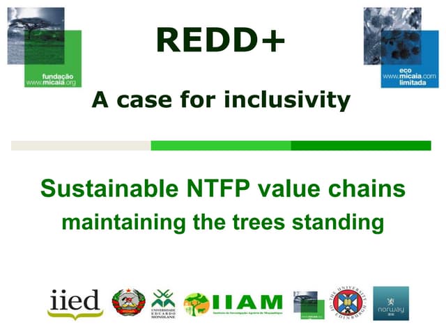 REDD+: a case for inclusivity