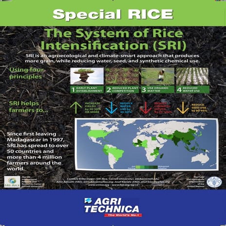 1320 - System of Rice Intensification